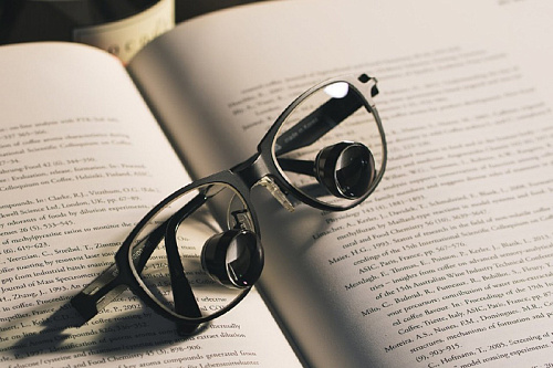 NK Vision TTL x3.3 – Бинокуляры